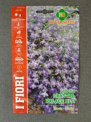 BUSTA FIORI LOBELIA CRYSTAL PALACE MIX RS