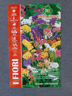 BUSTA FIORI STATICE SINUATA A GRANDI FIORI MULTICOLOR RS