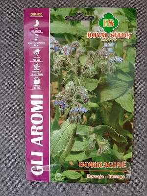BUSTA ORTO BORAGO OFFICINALIS BORRAGINE RS