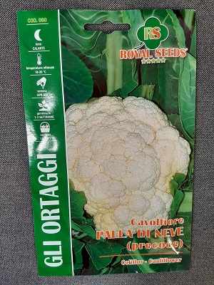 BUSTA ORTO CAVOLFIORE PALLA DI NEVE RS
