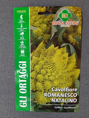 BUSTA ORTO CAVOLFIORE ROMANESCO NATALINO RS