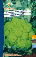 BUSTA ORTO CAVOLFIORE VERDE DI MACERATA RS
