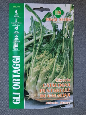BUSTA ORTO CICORIA CATALOGNA PUNTARELLE DI GALATINA RS