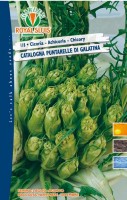 BUSTA ORTO CICORIA CATALOGNA PUNTARELLE DI GALATINA RS