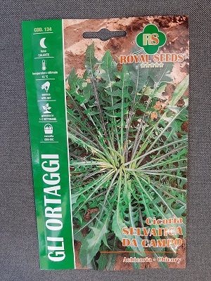 BUSTA ORTO CICORIA SELVATICA DA CAMPO RS