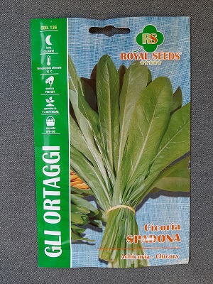 BUSTA ORTO CICORIA SPADONA RS