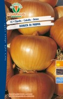BUSTA ORTO CIPOLLA DORATA DI PARMA RS