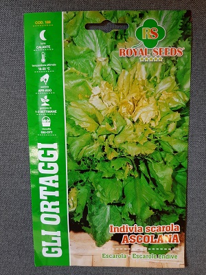 BUSTA ORTO INDIVIA SCAROLA ASCOLANA RS