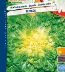 BUSTA ORTO INDIVIA SCAROLA GIGANTE DEGLI ORTOLANI RS