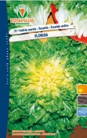 BUSTA ORTO INDIVIA SCAROLA GIGANTE DEGLI ORTOLANI RS