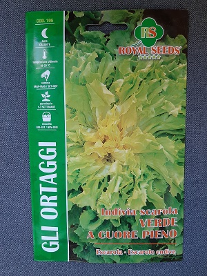 BUSTA ORTO INDIVIA SCAROLA VERDE A CUORE PIENO-BREVO RS