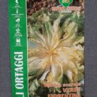 BUSTA ORTO INDIVIA SCAROLA VERDE FIORENTINA RS