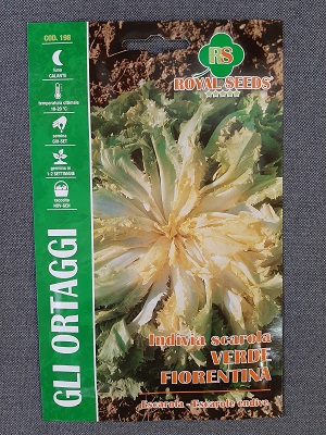 BUSTA ORTO INDIVIA SCAROLA VERDE FIORENTINA RS