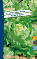 BUSTA ORTO LATTUGA REGINA DI MAGGIO RS