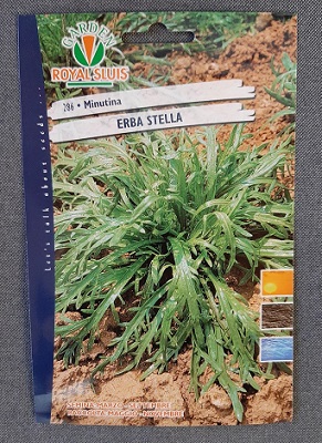 BUSTA ORTO MINUTINA ERBA STELLA RS