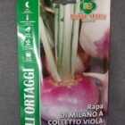BUSTA ORTO RAPA DI MILANO A COLLETTO VIOLA RS