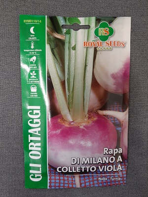 BUSTA ORTO RAPA DI MILANO A COLLETTO VIOLA RS