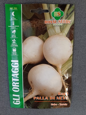 BUSTA ORTO RAPA PALLA DI NEVE RS