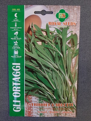 BUSTA ORTO STRIDOLI/CARLETTI RS