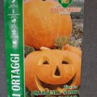 BUSTA ORTO ZUCCA QUINTALE SEME GIALLO RS