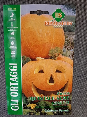BUSTA ORTO ZUCCA QUINTALE SEME GIALLO RS