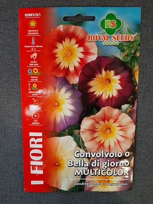 BUSTA FIORI CONVOLVOLO RAMPICANTE BELLA DI GIORNO RS