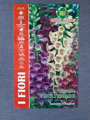 BUSTA FIORI DIGITALE MULTICOLOR RS