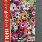 BUSTA FIORI MESEMBRYANTHEMUM LUNETTE RS
