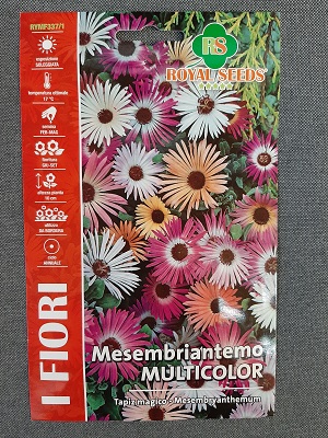 BUSTA FIORI MESEMBRYANTHEMUM LUNETTE RS