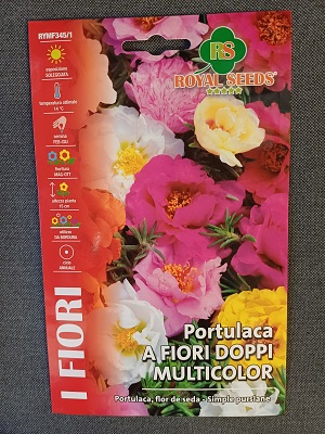 BUSTA FIORI PORTULACA DOPPIA MIX RS