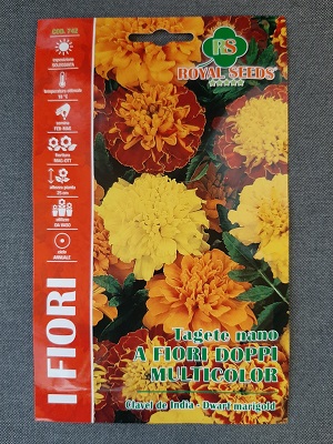 BUSTA FIORI TAGETE NANO A DOPPI FIORI MULTICOLOR RS
