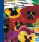 BUSTA FIORI VIOLA DEL PENSIERO COLOROMA MIX RS