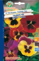 BUSTA FIORI VIOLA DEL PENSIERO COLOROMA MIX RS