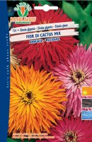 BUSTA FIORI ZINNIA GIGANTE FIOR DI CACTUS MIX RS