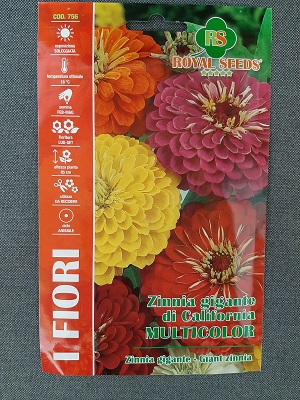 BUSTA FIORI ZINNIA GIGANTE DI CALIFORNIA MULTICOLOR R.S.