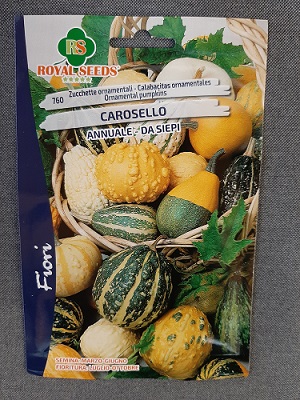 BUSTA FIORI ZUCCHETTE ORNAMENTALI CAROSELLO RS