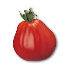 BUSTA MAXI SPEC. POMODORO CUOR DI BUE F1 RS