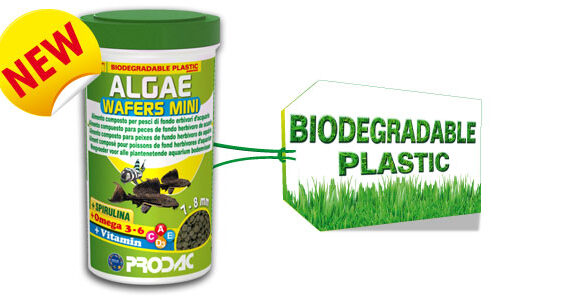 ALGAE WAFERS MINI 100 ML GR.50