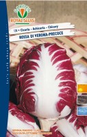CICORIA ROSSA DI VERONA PRECOCE