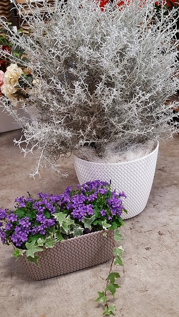 VASO SPLOFY cm  30 altezza 25 cm COLOR BIANCO