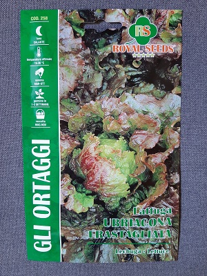 BUSTA ORTO LATTUGA UBRIACONA FRASTAGLIATA MAXI RS
