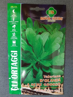 BUSTA ORTO VALERIANA D'OLANDA A SEME GROSSO MAXI RS