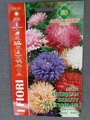 BUSTA FIORI MAXI ASTRO BELLEZZA D'AMERICA RS