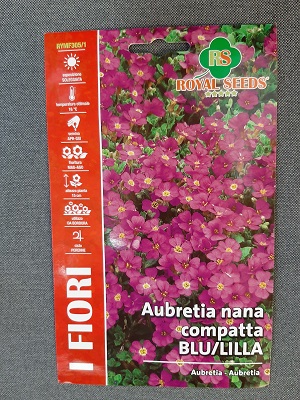 BUSTA FIORI MAXI AUBRETIA PORPORA  RS