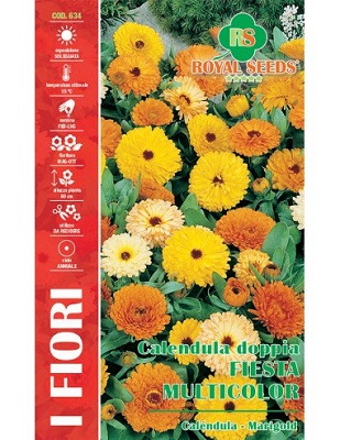 BUSTA FIORI CALENDULA FIESTA MIX BUSTA MAXI RS