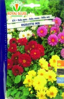 BUSTA FIORI DALIA NANA RIGOLETTO MIX BUSTA MAXI RS