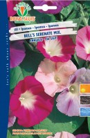 BUSTA FIORI IPOMEA BELL'S SERENATE MIX BUSTA MAXI RS