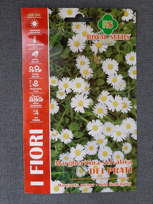 BUSTA FIORI MARGHERITA SELVATICA DEI PRATI RS