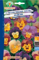 BUSTA FIORI VIOLA CORNUTA HELENA MIX BUSTA MAXI RS