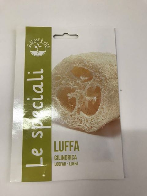 BUSTA SPECIALE LUFFA CYLINDRICA RS